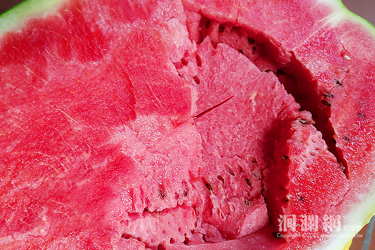 疫情宅在家，花蓮超甜大西瓜直接宅配到你家