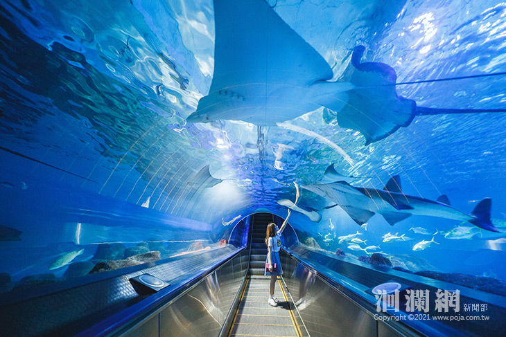 千元國旅券出爐，遠雄海洋公園憑國旅券 2人只要10