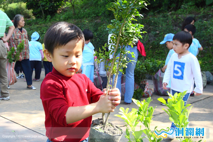 林管處贈樹苗.大家一起來美化~