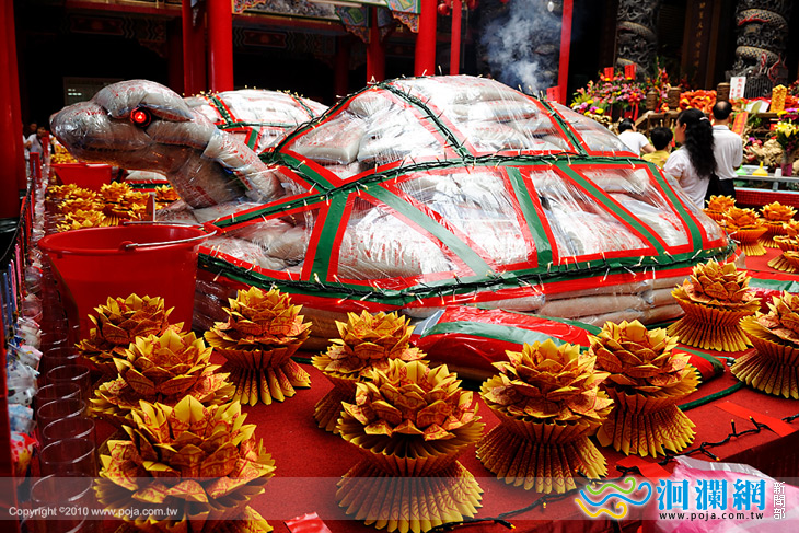 花蓮港天宮天上聖母聖誕  三公尺大型米龜花蓮首