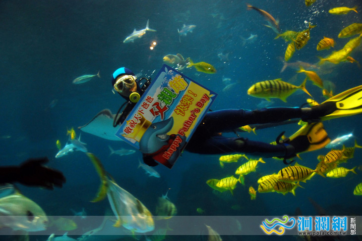 海洋公園海中歡慶父親節~