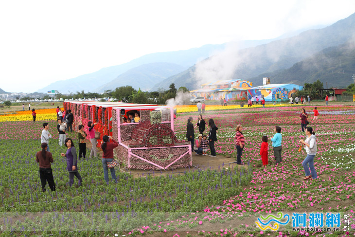 [影音]冬季花東花海盛事您絕對不能錯過!!