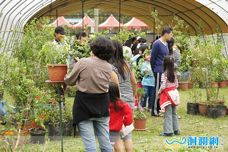 [影音]鯉魚潭賞蝶去讓專業解說告訴你昆蟲的奧妙