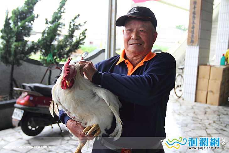 吉安鄉客家文化節閹雞比賽重量創新高!
