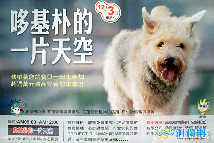[影音]花蓮市公所寵物變裝賽本週六登場