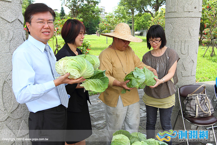 高麗菜過盛，快來團購助農幫你產地直送