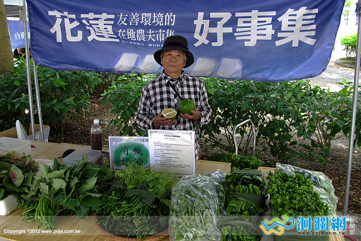 花蓮好事集11月活動