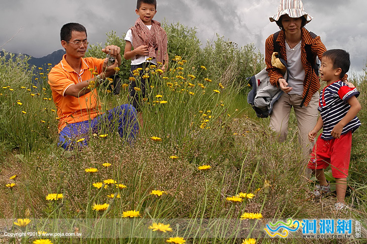 合歡山花季體驗活動-歡迎報名