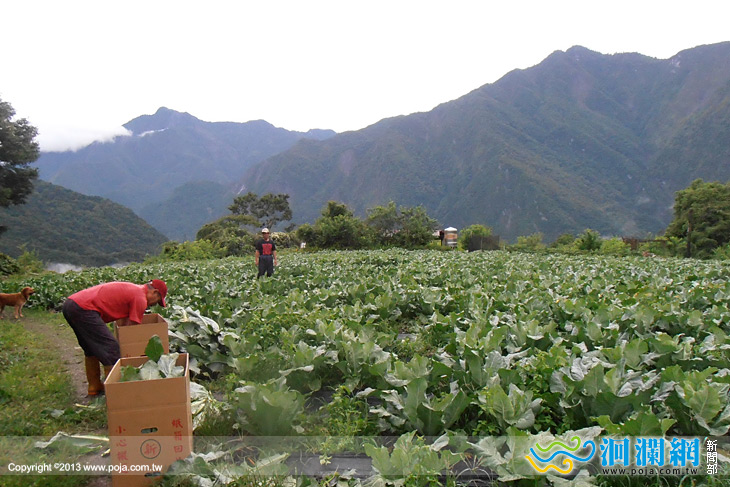 太魯閣勇氣young行/國家公園有機生態村體驗活動
