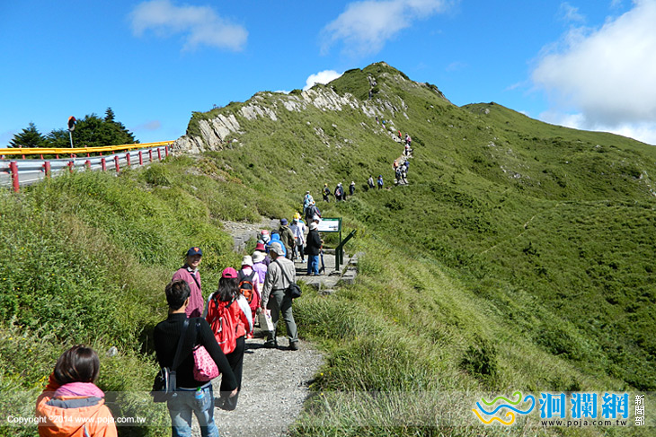 合歡山賞花趣體驗活動開放報名