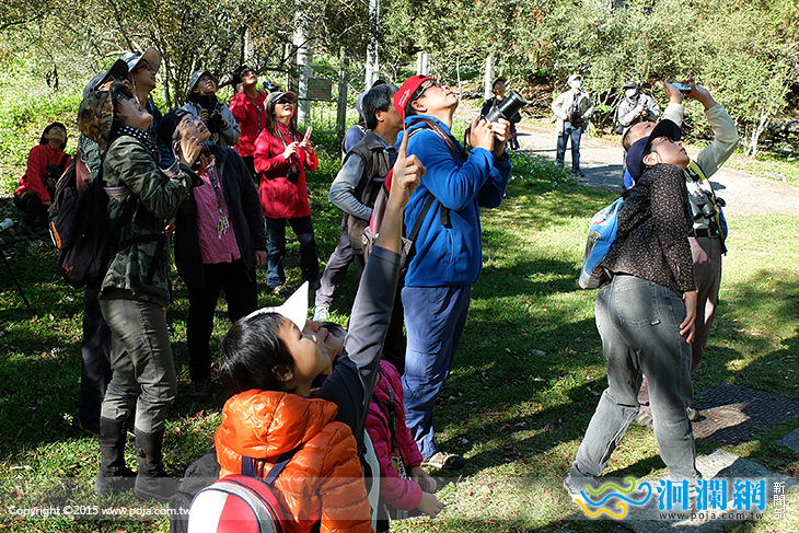 太魯閣賞鳥趣體驗活動報名
