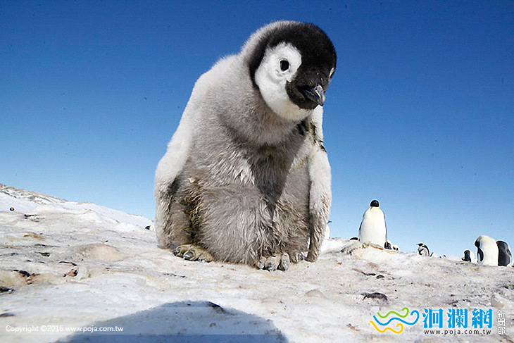 野望小學堂 開始報名囉!