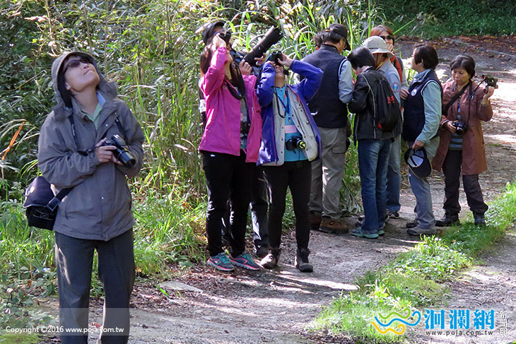 105年太魯閣賞鳥趣體驗活動開跑~