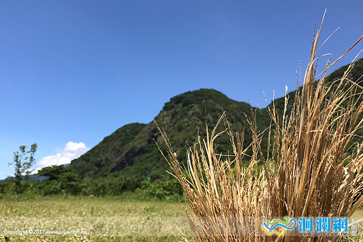 2017米粑流濕地藝術季！