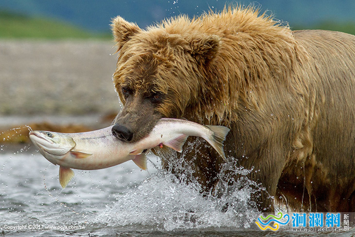 花蓮林管處「野望影展 森林大戲院」開跑囉!