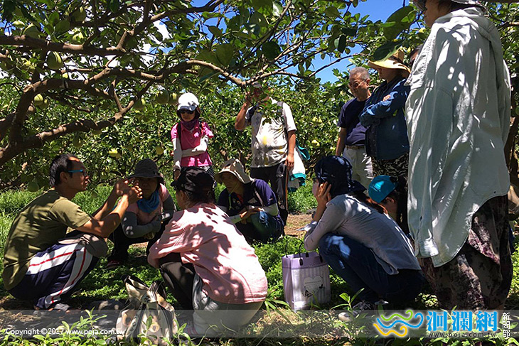 Hello 柚子園裡的動物朋友回來了