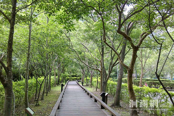 賞鳥趣體驗活動11/25、11/26布洛灣登場，免費參加