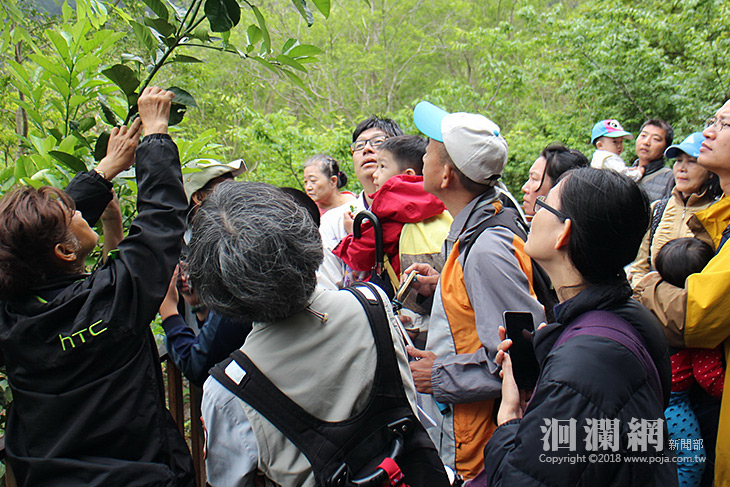 三代幸福同遊太魯閣-遇見森林裡的小學5/10受理