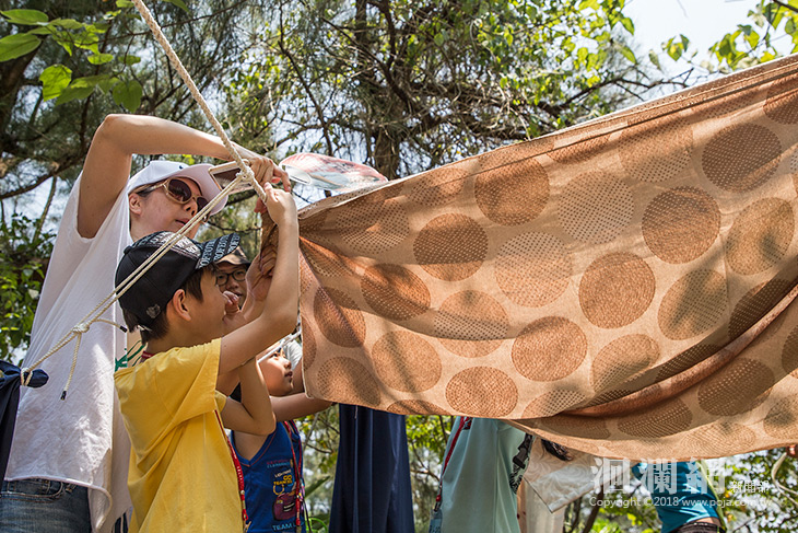 夏天就鑽進我們的森海秘密基地！