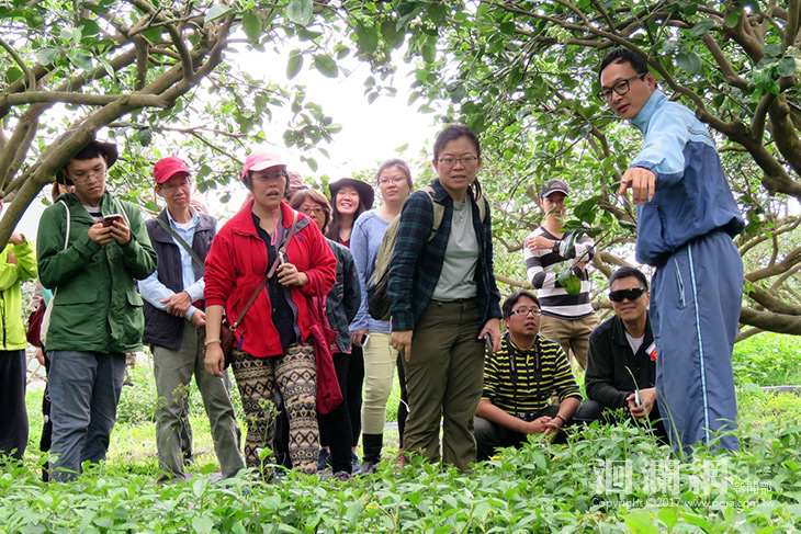 柚子新樂園～柚說柚笑甜蜜蜜農事體驗活動