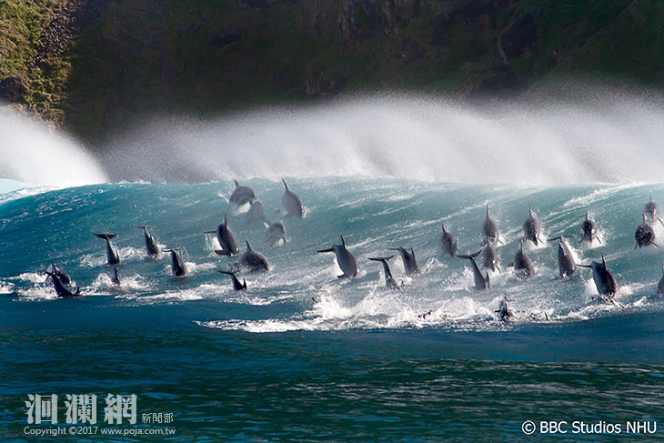 11\17 國際級的綠色奧斯卡－野望影展，免費邀花蓮