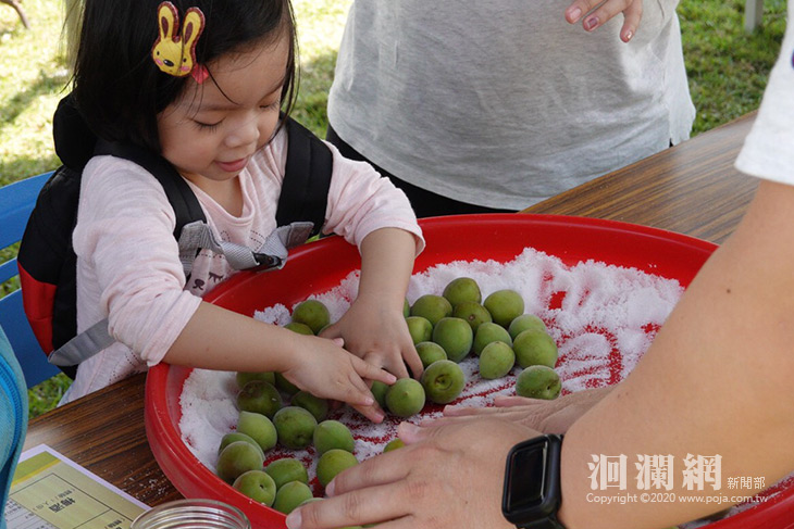 梅好農遊富里趣，音樂市集樂饗宴