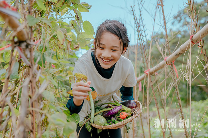 「童部野放」暑期梯次即日起開始報名！