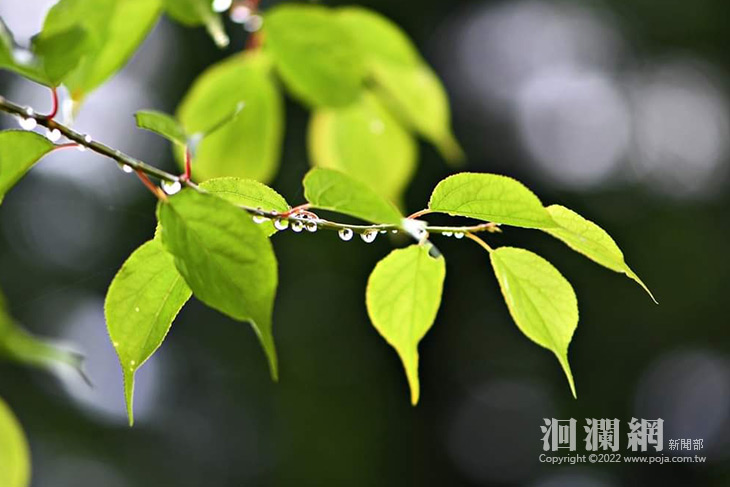 林管處-01.jpg