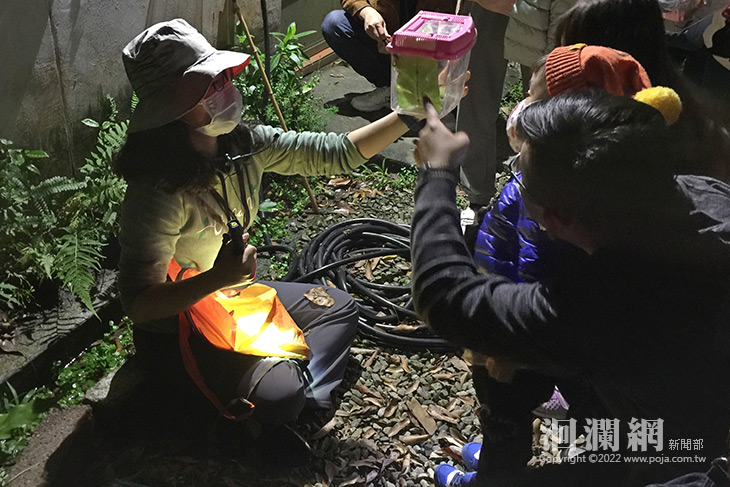 池南「璀璨螢星」 3/15開放報名賞螢逐光