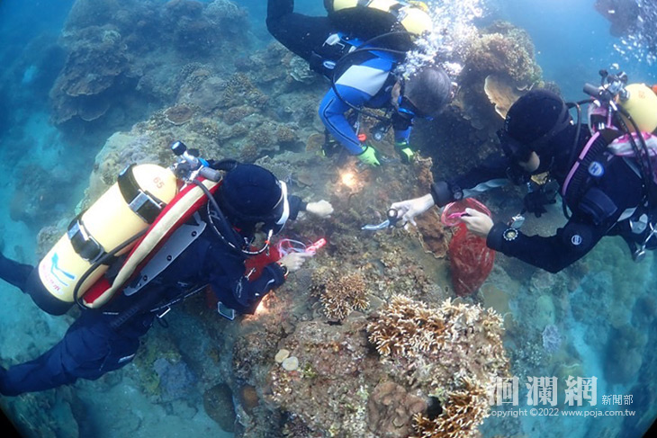 東管處工作假期 潛水戰將「進海」深入海洋秘境