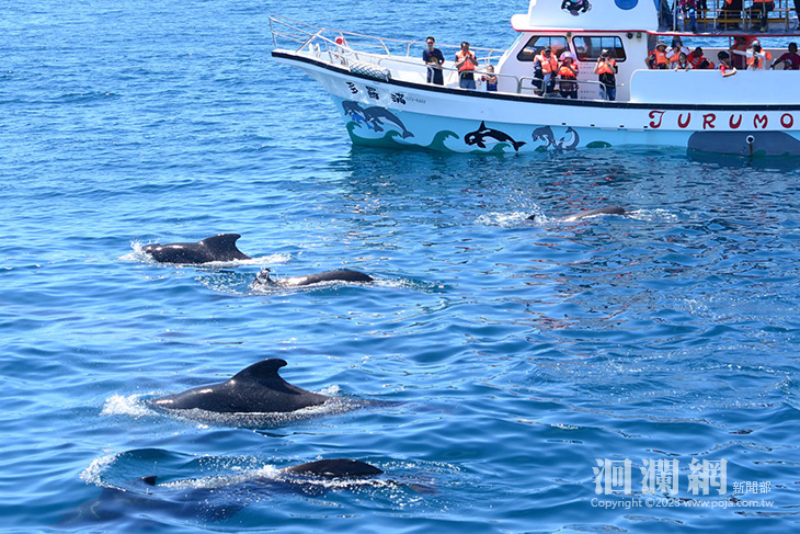鼓勵返鄉投票 花蓮業者串聯推優惠