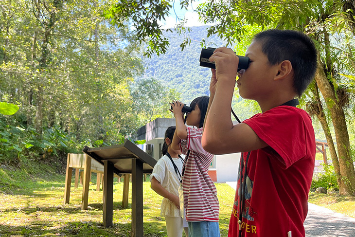 手作五色鳥平衡木玩 池南親子木育8日起報名