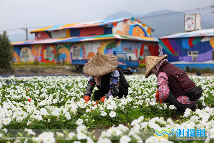19日 富里鄉大地畫布即將開跑