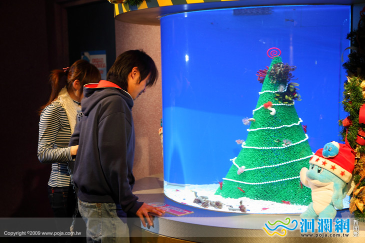 [影音]海中也有聖誕老公公！