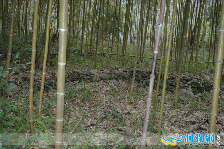 通往白楊瀑布，太管處另覓路徑