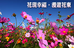 花現幸福‧漫遊花東