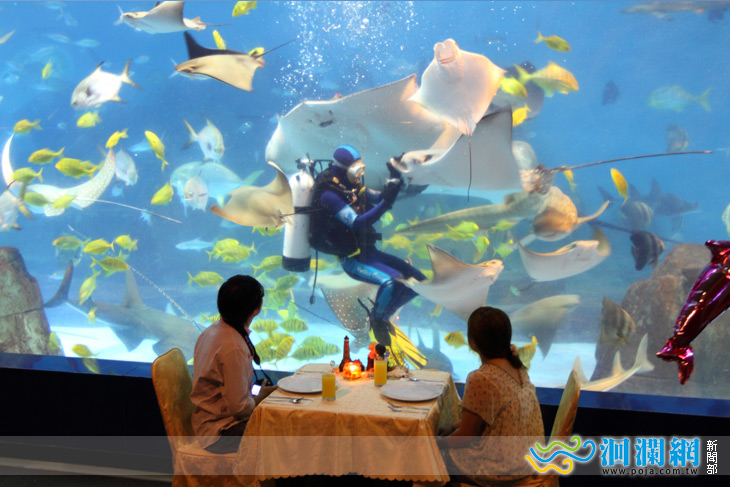 遠雄海洋公園 情人節獨家限定