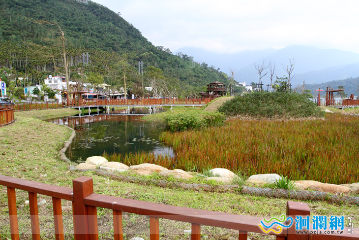 鯉魚山秋候鳥季 - 池南賞鳥行報名