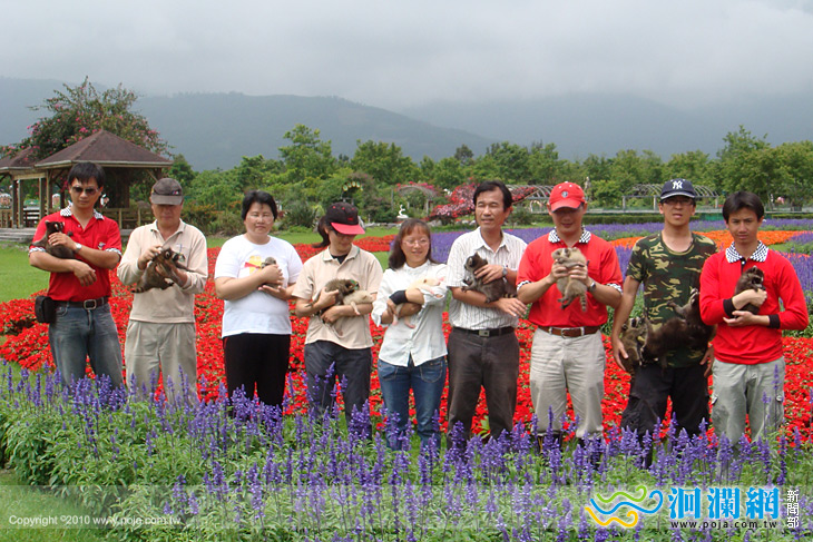 浣熊媽媽真辛苦 蛋糕水果大進補