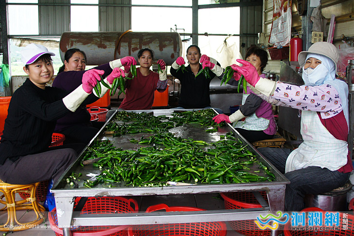 [影音]香辣夠味-鳳林剝皮辣椒