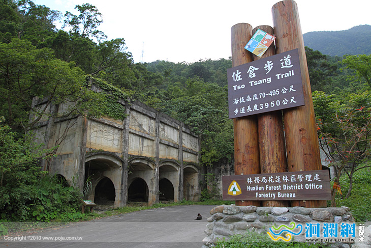 林管處將移除佐倉步道危木-提醒遊客注意安全