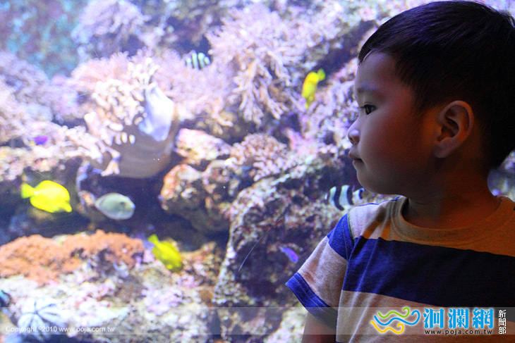 [影音]2011夏日瘋海洋群星會-預約幸福的夏天