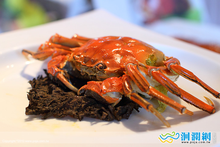 嘗秋蟹～壽豐「紫蘇葉蒸大閘蟹」正是時候