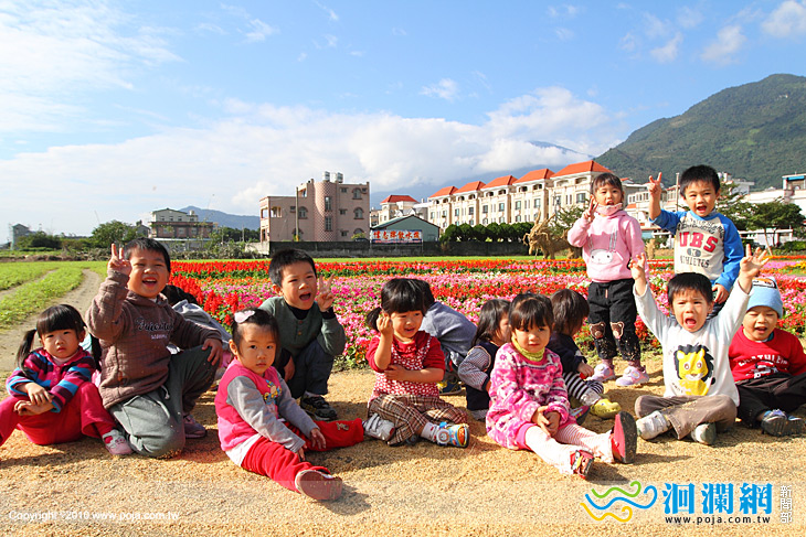 繽紛吉安，吉安鄉將打造180公頃花海