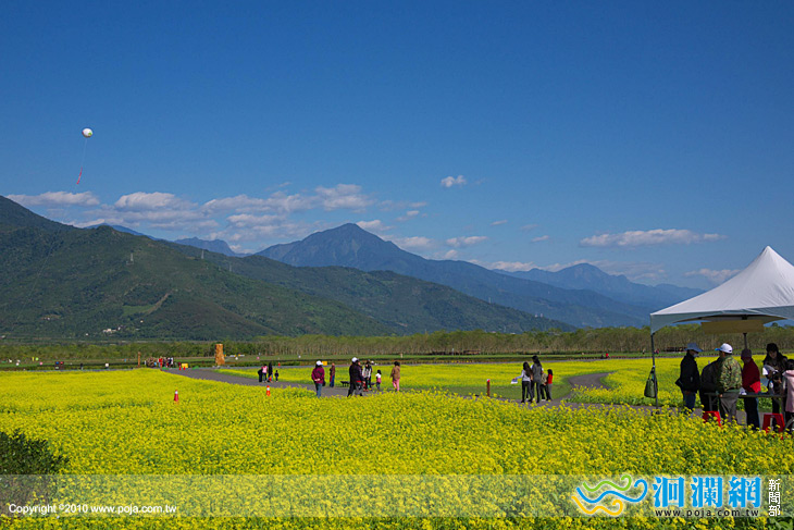 春節連假大農大富平地森林園區湧入大量人潮