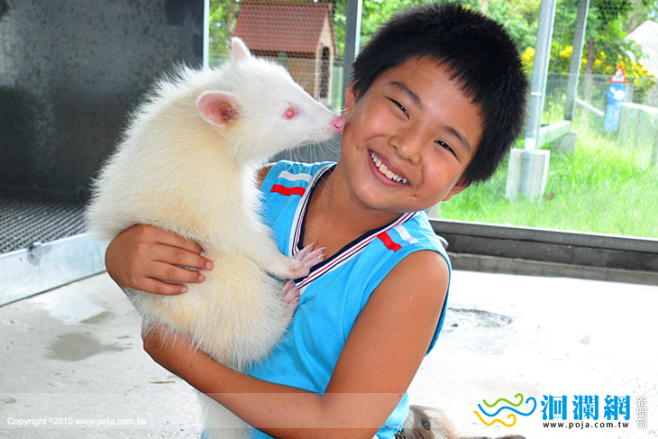 連假遊兆豐，好玩又好聽