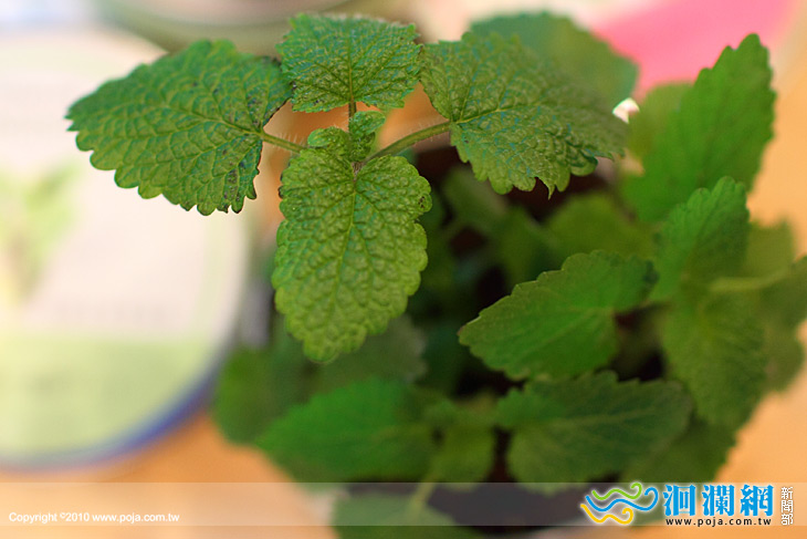 翰你一起愛地球、節能減碳‧綠旅行