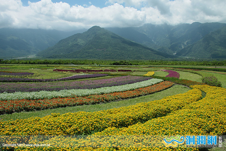 大農大富換新裝，把握假期單車花海行