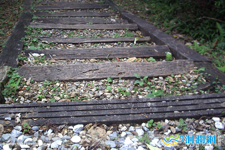 花蓮林管處抽換鯉魚山步道腐朽枕木