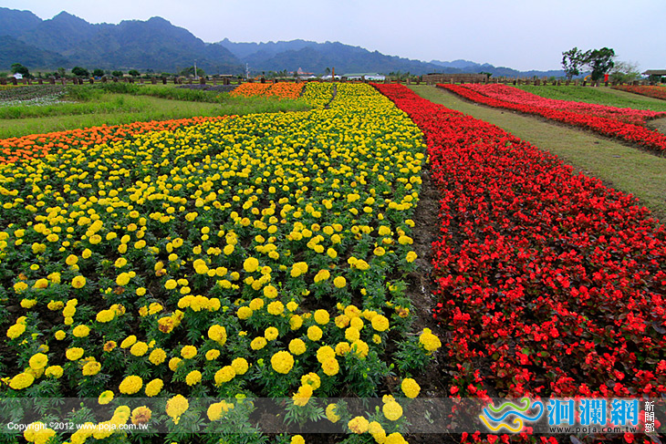 林管處三大園區，除夕休園農曆春節期間不打烊